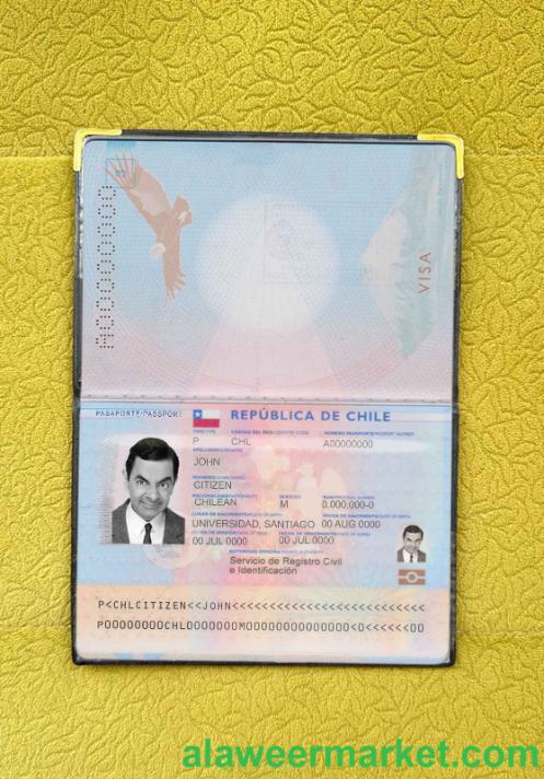 Chile passport photo look